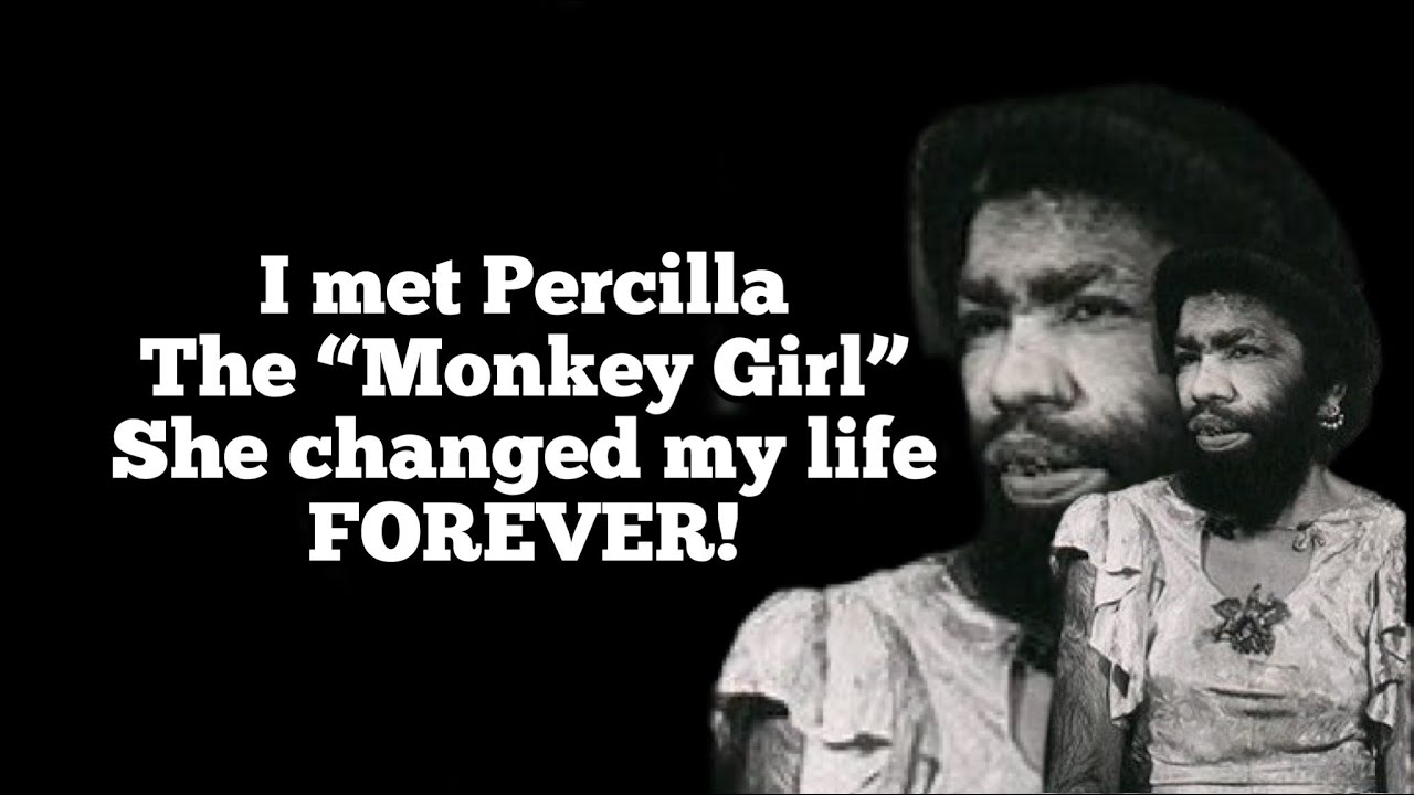 Percilla the 