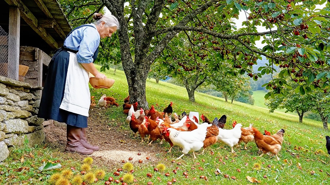 Rural Life Diary: A Full Day Walking in Ticino, Watching Swiss Village Life