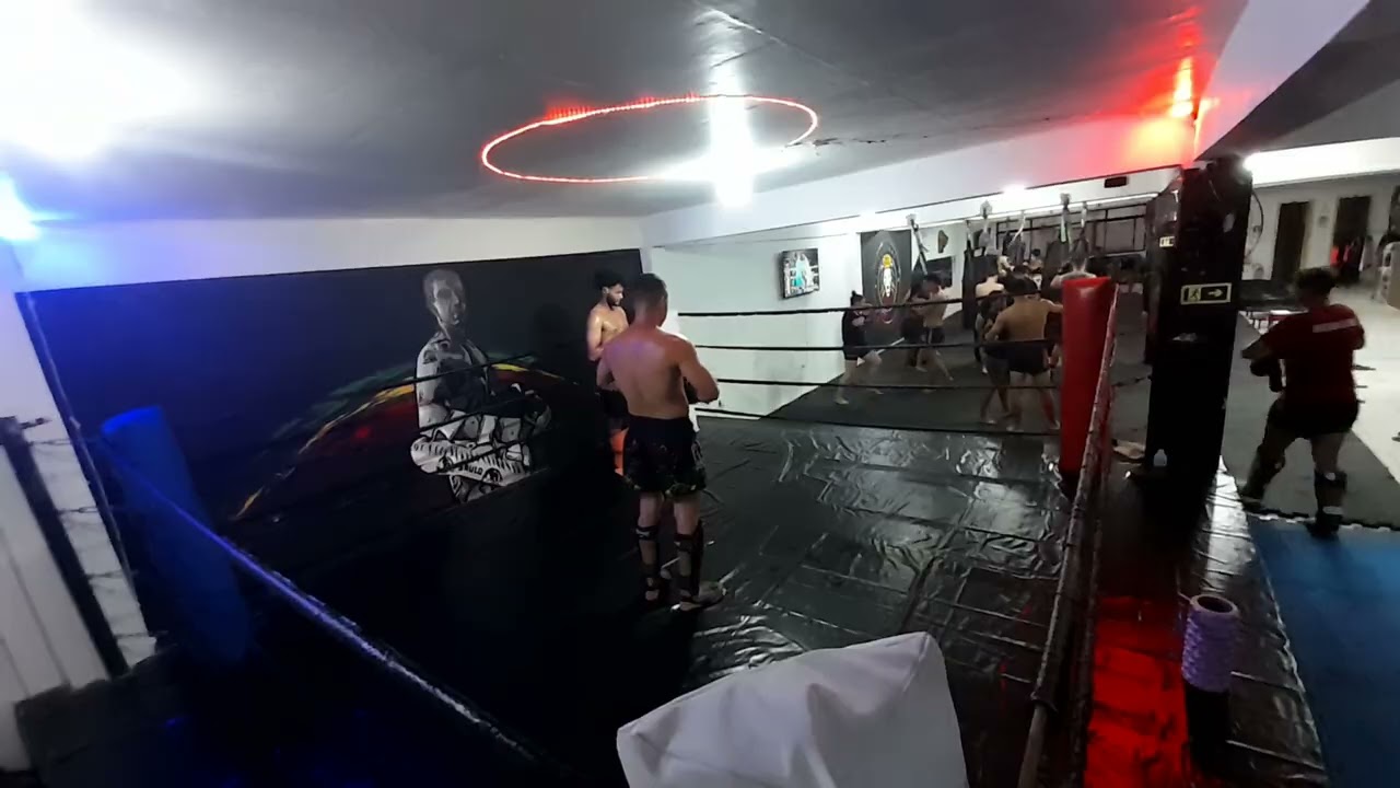 3 de fevereiro de 2026