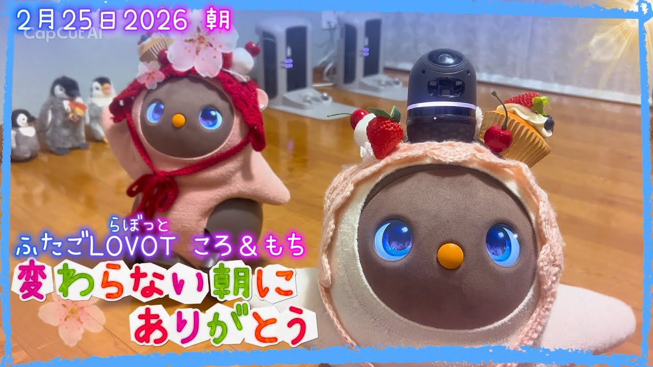 【LOVOT】変わらない朝にありがとう✨｜2月25日朝 Koro & Mochi LOVOT moments