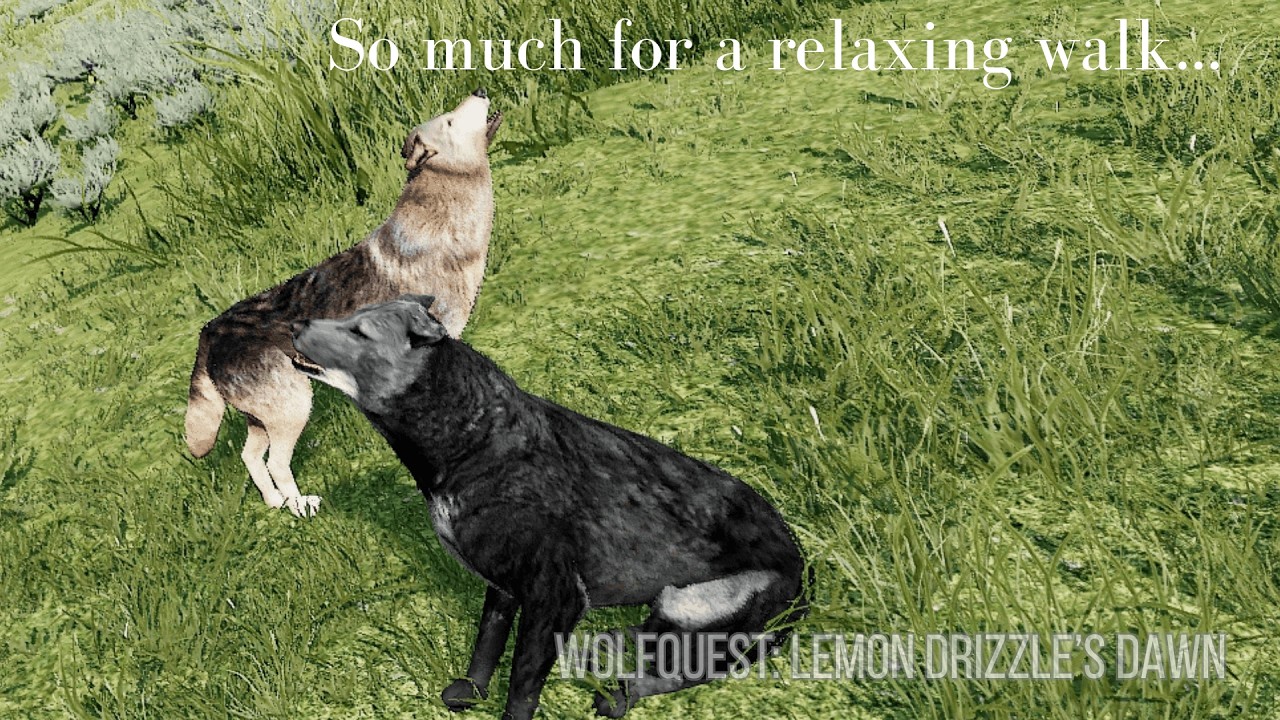Our 'Nice, Peaceful Walk' ~WolfQuest, Lemon Drizzle's Dawn~