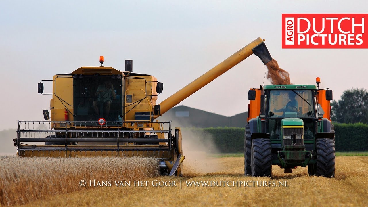 Good old New Holland TX 32 harvesting wheat | Tarwe dorsen | Weizenernte | 2017