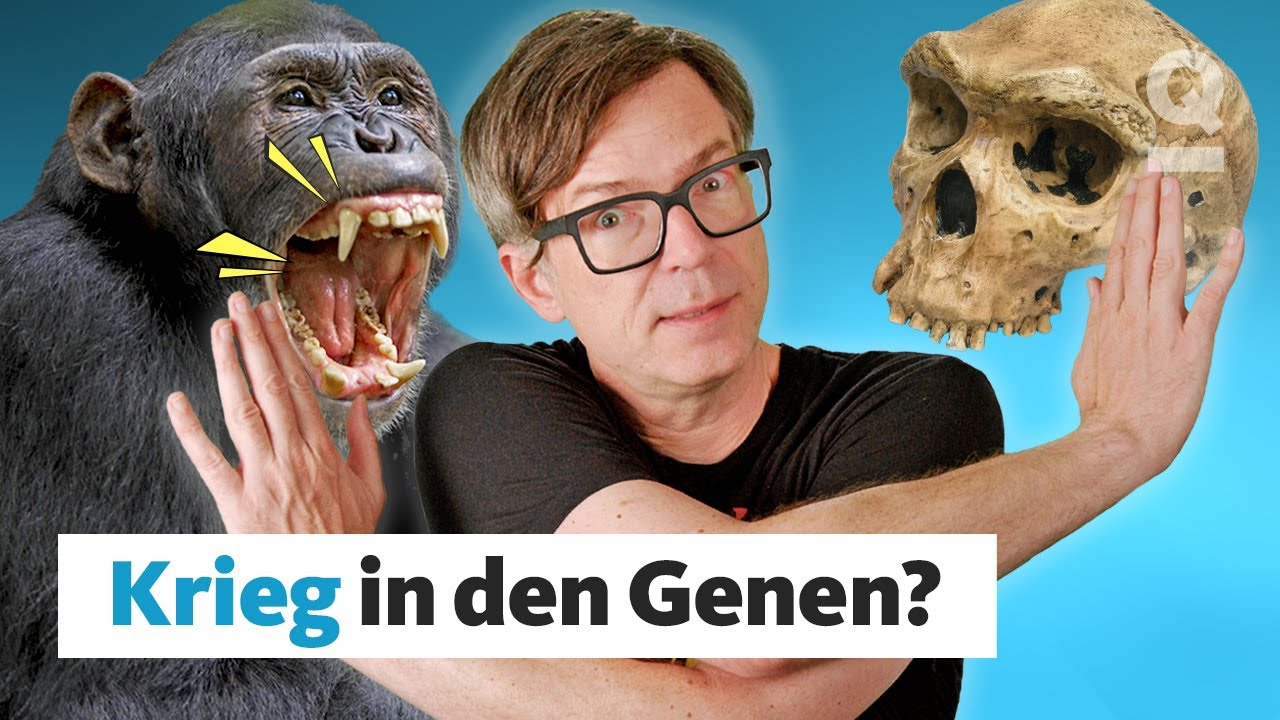 Evolution: Warum wir Kriege führen – und Frieden möglich ist  | Quarks Dimension Ralph