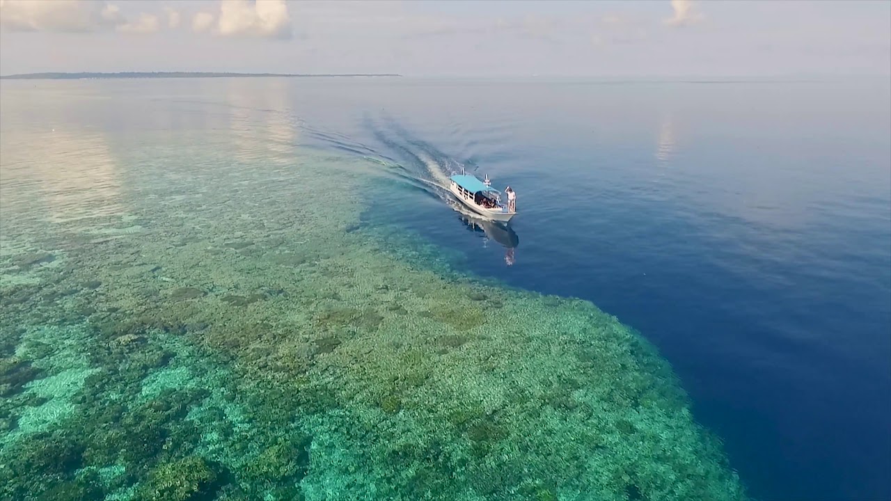 Sea Ocean Reef 4k Footage - Free HD Stock Videos - No Copyright -