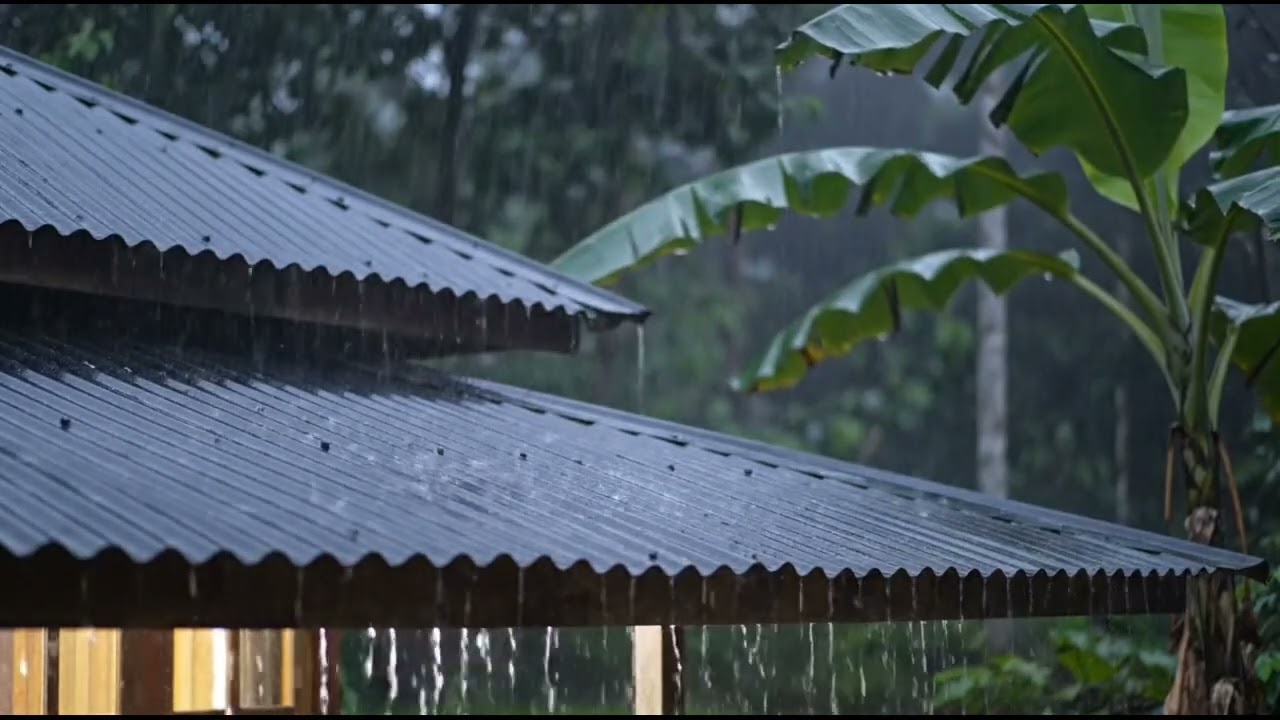 Gentle Rain on Tin Roof | Fall Asleep Fast 