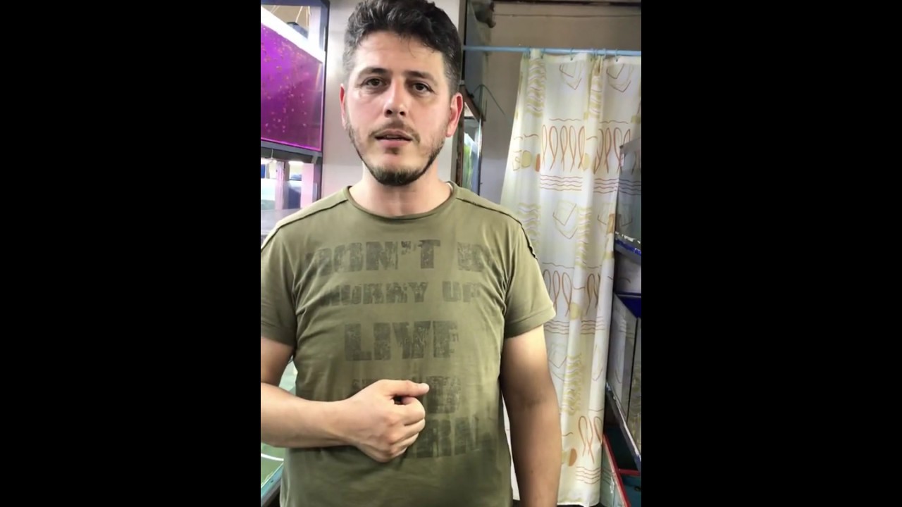 MELEK ÇİFTLEŞMESİ