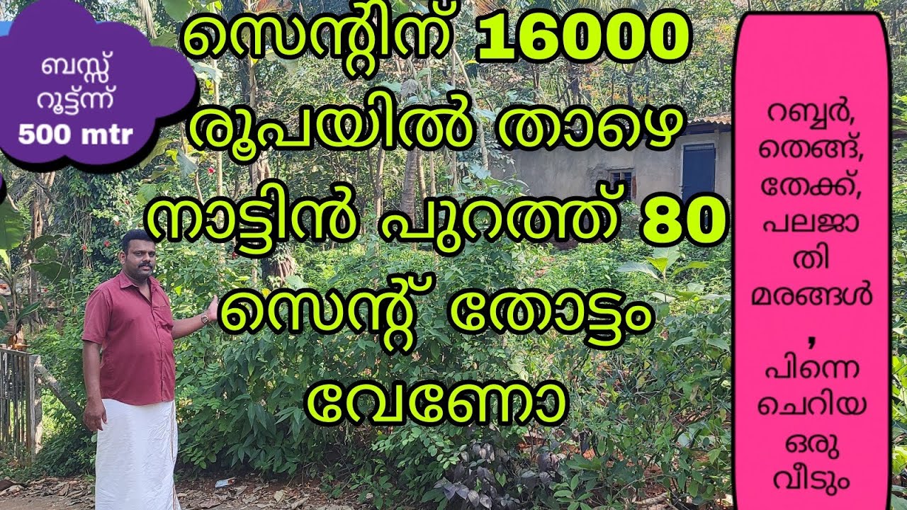 സെന്റിന് വെറും 16000 രൂപയിൽ താഴെ 80 സെന്റ് തോട്ടം അർജന്റ് വില്പനക്ക്