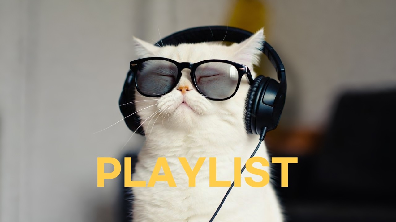 첫 곡부터 우리집 고양이도 리듬타게 되는 알엔비 😎 | R&B · Neo Soul · Alternative RnB | 매장음악 · 카페 · 작업 · 집중 · 노동요