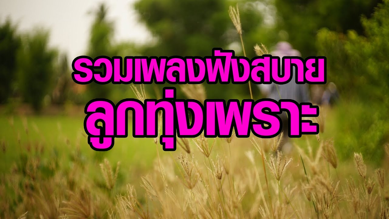 รวมเพลงฟังสบายลูกทุ่งเพราะๆ