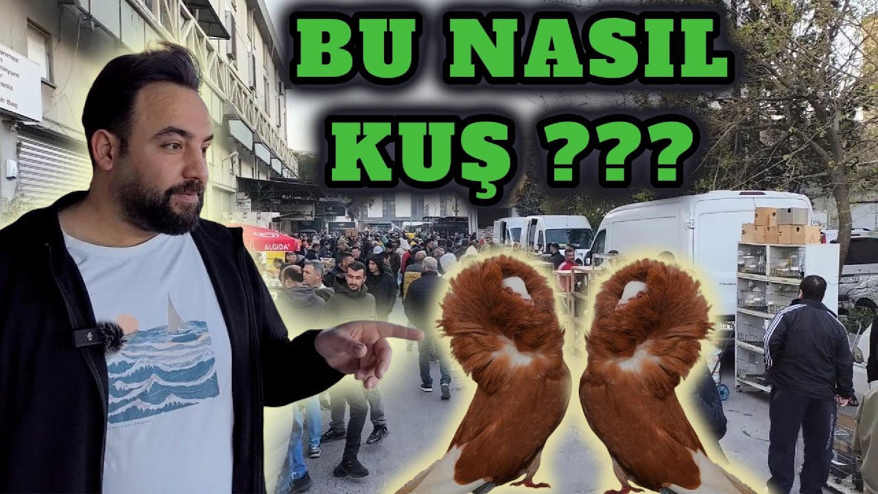İZMİR KUŞ PAZARI #133
