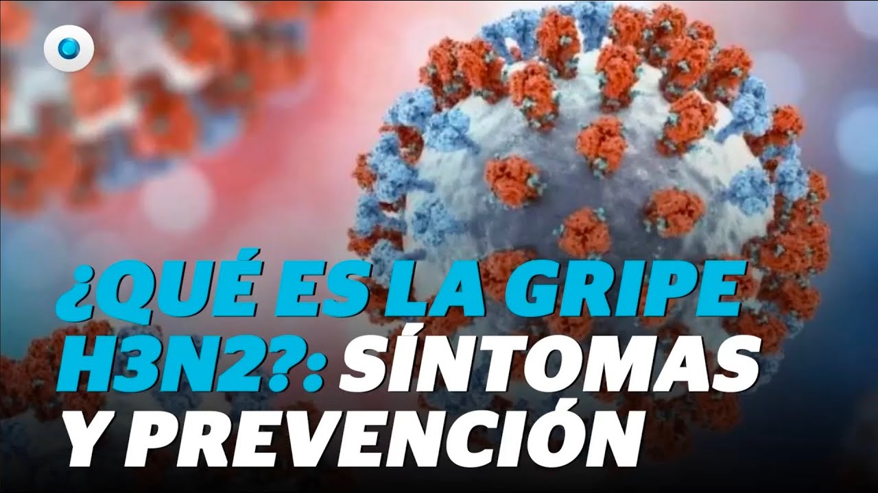 Influenza H3N2: qu&eacute; es, s&iacute;ntomas y qu&eacute; tan efectiva es la vacuna | Reporte Indigo