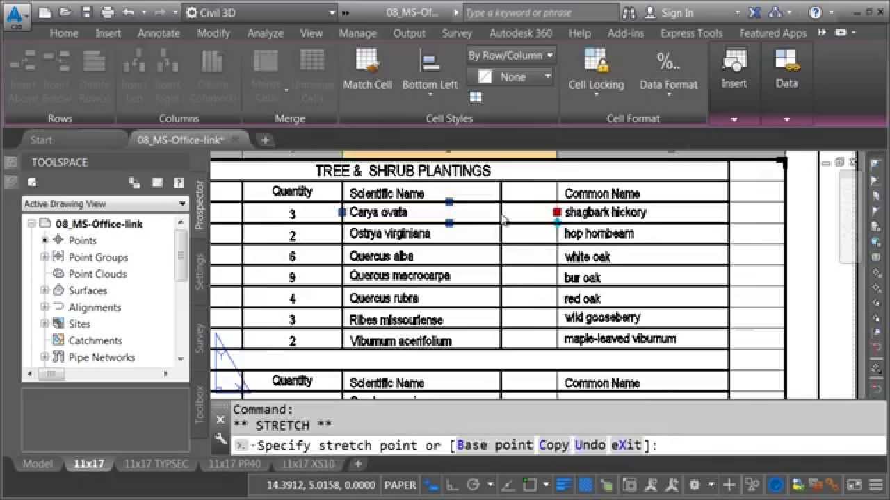 Linking MS Word & Excel files to Civil 3D drawings