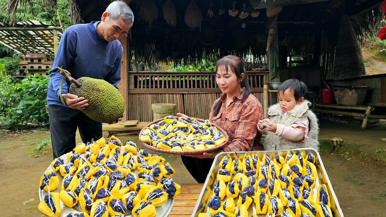 Small family: Process of making delicious jackfruit sticky rice - Harvesting jackfruit - Animal care