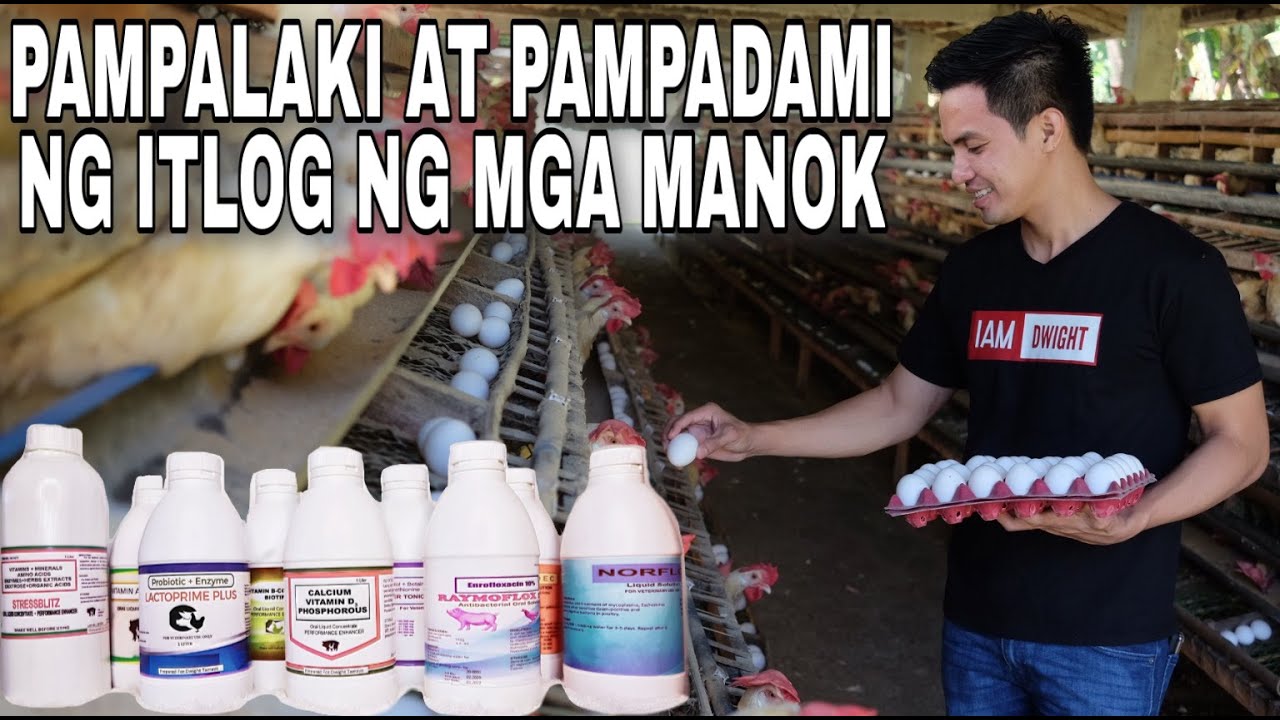 MULTIVITAMINS+MINERALS PARA DUMAMI AT LUMAKI ANG MGA ITLOG NG MGA MANOK