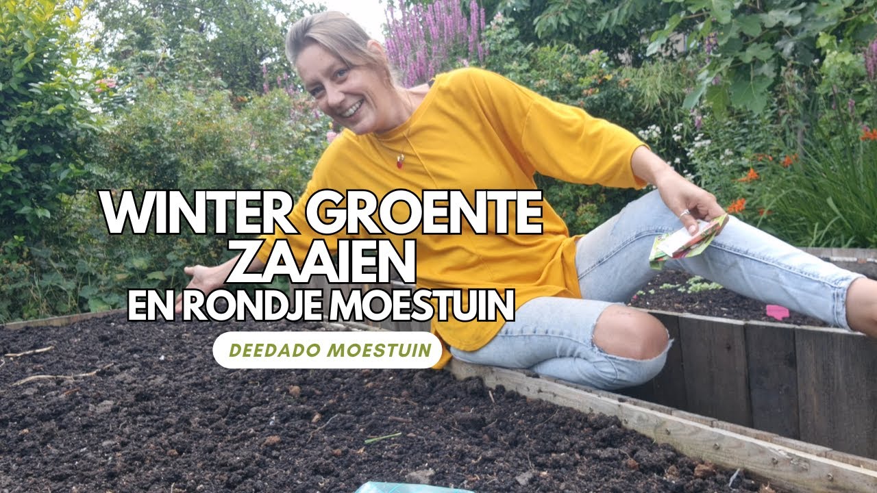 DeeDaDo moestuin | Winter en herfst groente zaaien | Rondje Moestuin