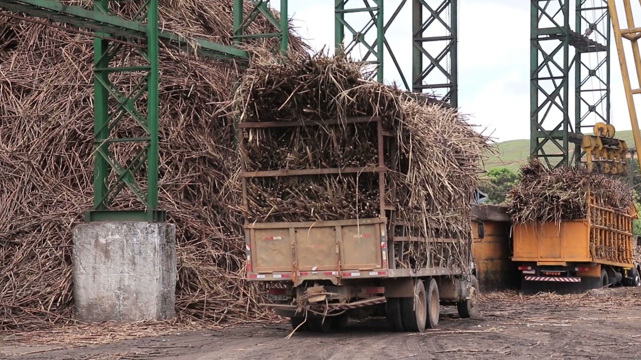 Usina Santa Maria tem expectativa de crescimento na safra 2021/2022