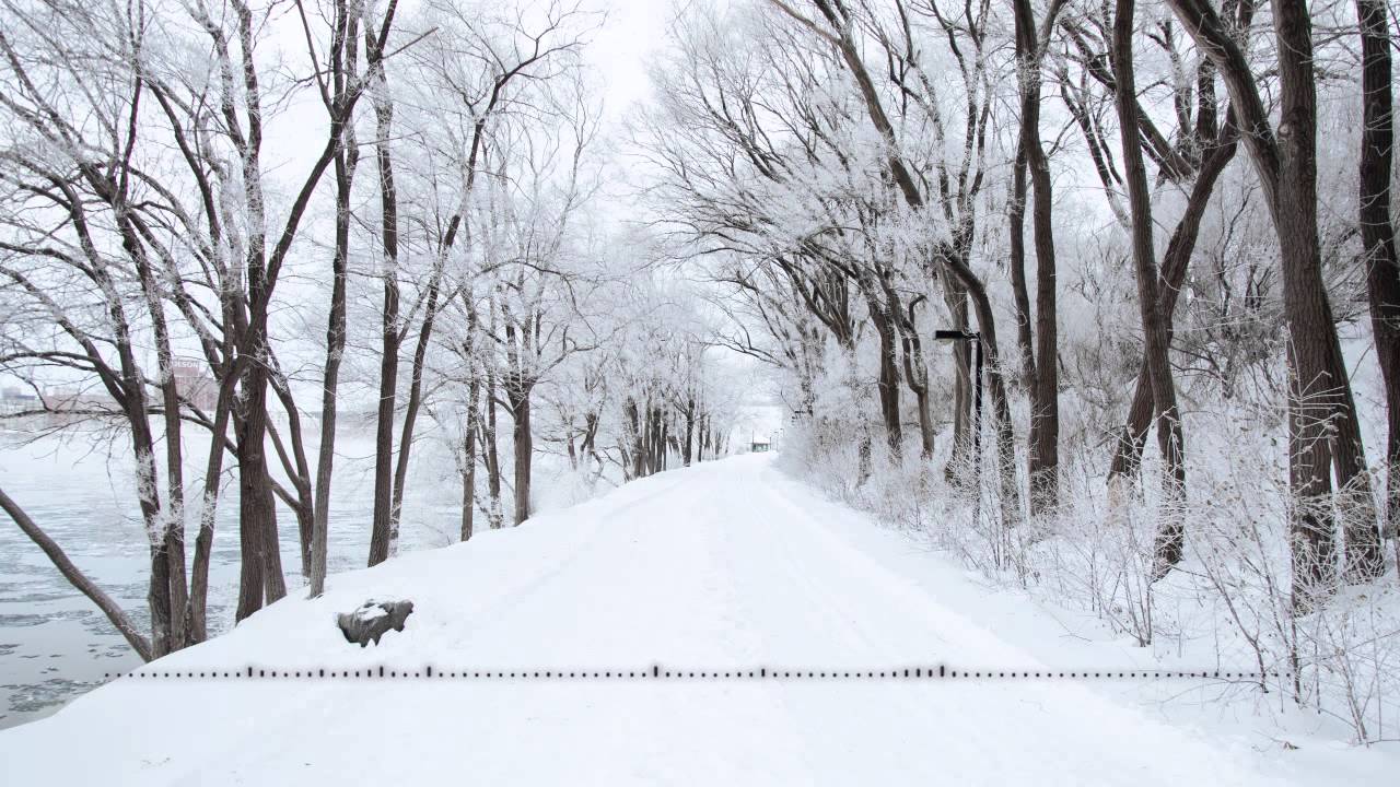 Thomas-Adam Habuda - Winter of Life