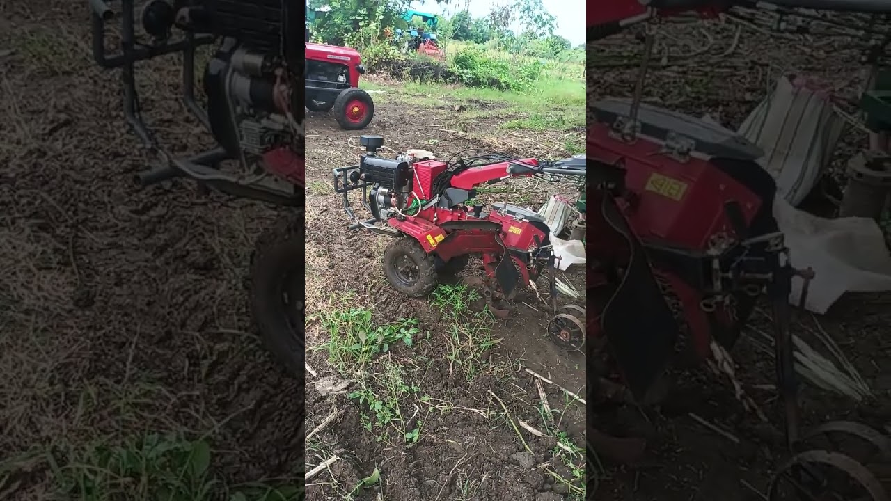 कामासाठी संपर्क साधावा 9823850617#farming #explore #tranding #feed #shetkari 
