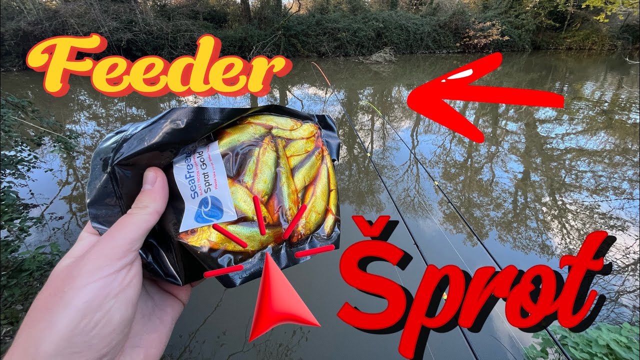 Lov candátu pomoci Feeder | Takhle jednoduše je chytám | poslední ryba roku 2025 | přívlač 🐋🎣