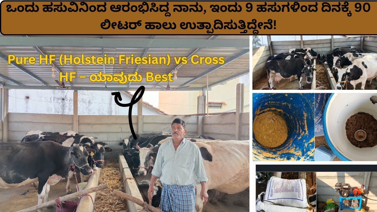 ಹೈನುಗಾರಿಕೆ:ಹಾಲು –ಇಂದಿನ ಹೊಸ ಬಂಗಾರ|“Milk is the New Gold 