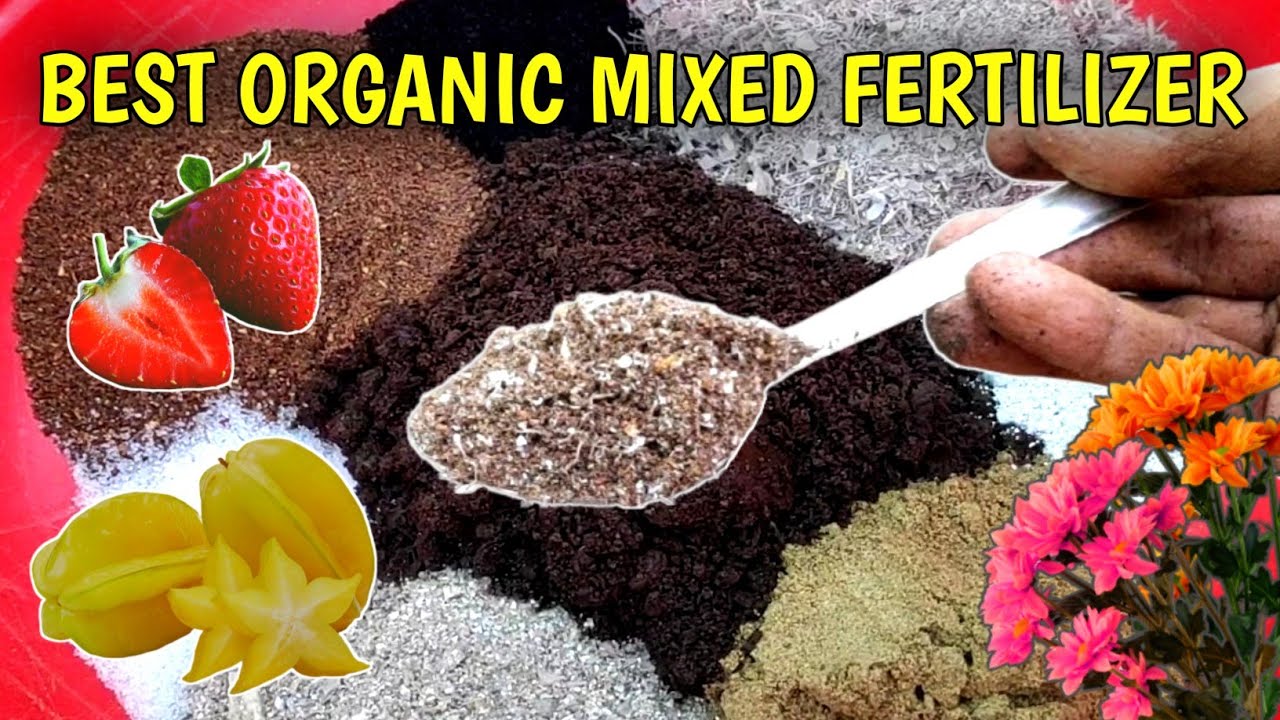 How To Make And Use Mixed Organic Fertilizer For Plants At Home (IN HINDI)