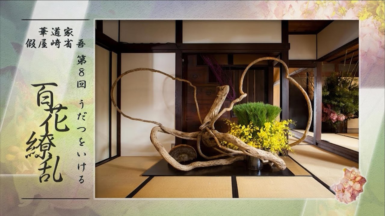 第8回　華道家假屋崎省吾　うだつをいける～百花繚乱～