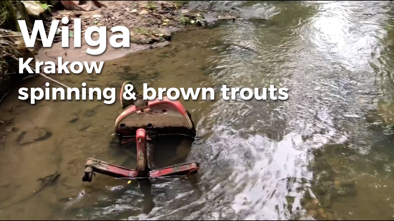 Spinning, rzeka Wilga, śmieci i pstrągi. Smutna rzeczywistość... Wilga River close to Krakow. Trouts