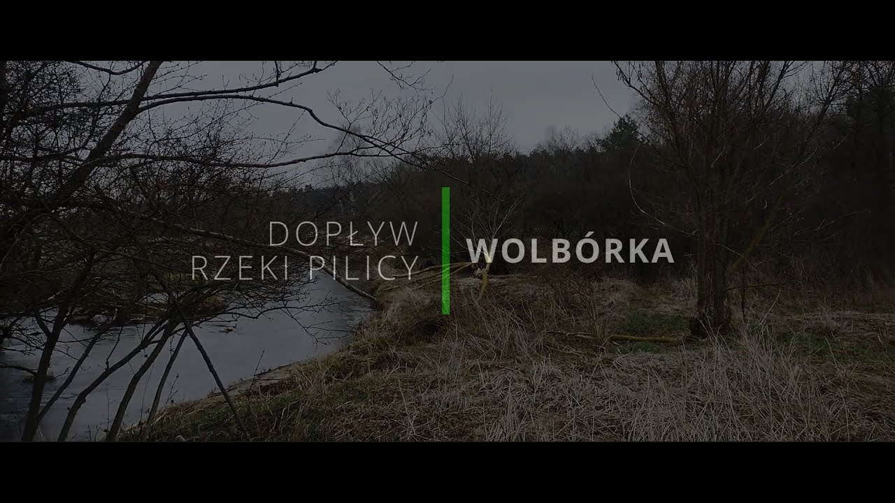 Dopływ rzeki Pilicy. Wolbórka