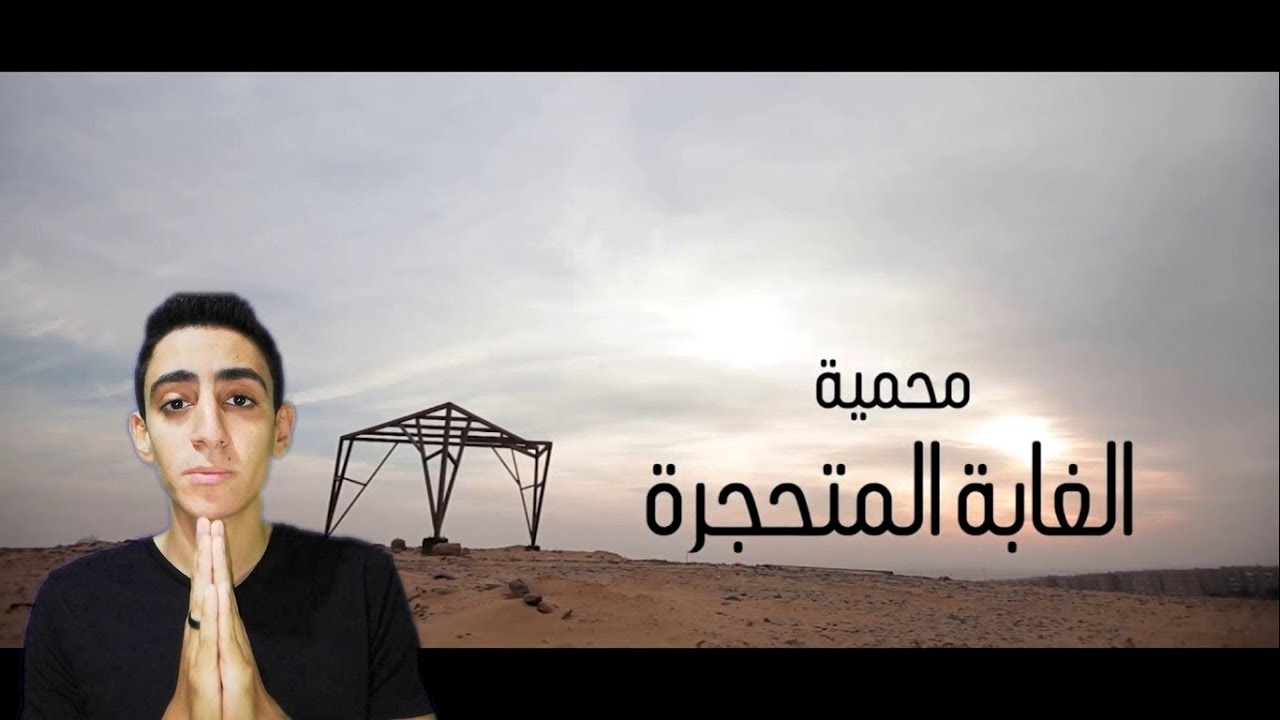 Petrified Forest - الغابة المتحجرة