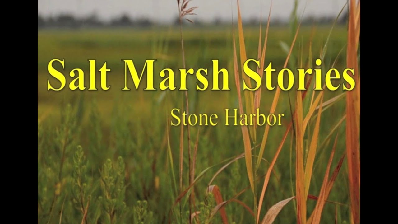 Salt Marsh Stories