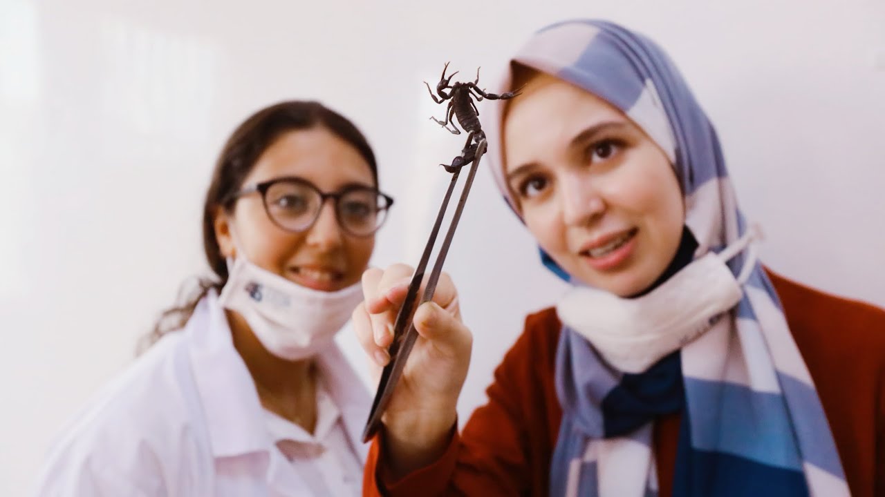 كيف أصبح هؤلاء الطلاب أصحاب مشاريع؟ - مشروع العقارب!؟