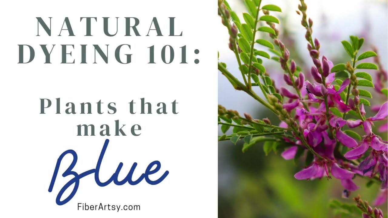 Natural Dye Plants to make blue dyes for fabrics, yarn and paper