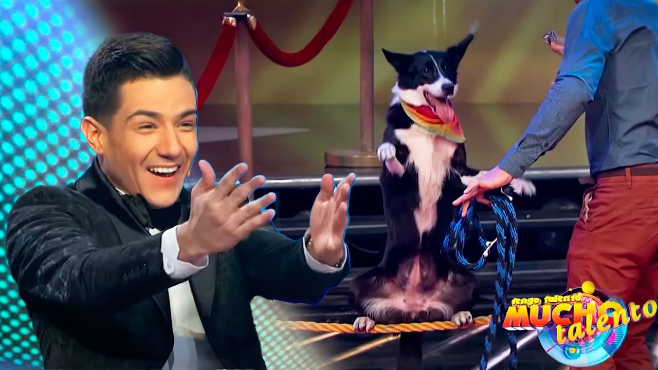 🐶 Luis Coronel queda impresionado con estos Trucos bien Perros | Ep. 42 Parte 1 Completo | T13 TTMT