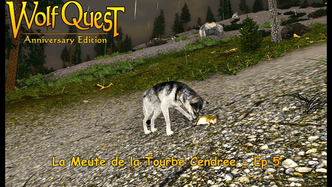Chapitre 1 : Cendre de Lin #5 | Wolfquest Anniversary Edition