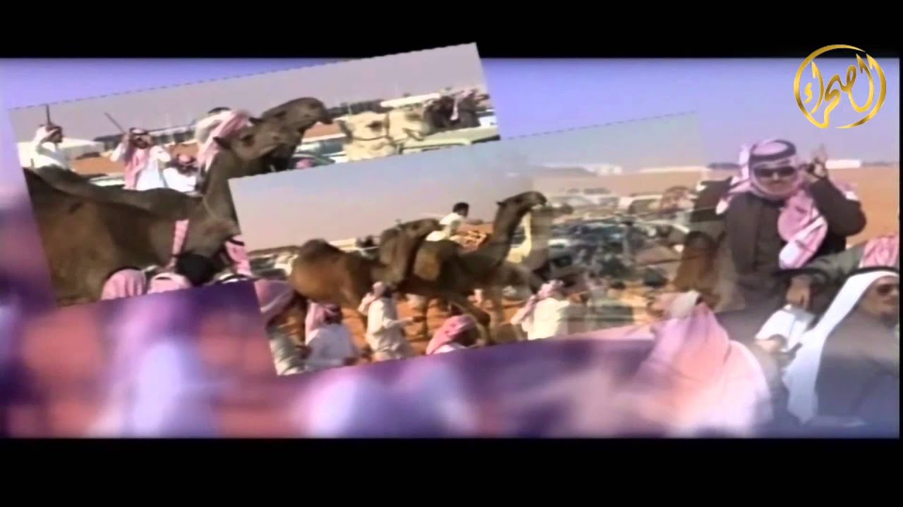 الحاصل على المركز الاول في جائزة الملك عبدالعزيز فئة فردي الصفر (جل) الشيخ/ احمد بن نداء بن عشوان