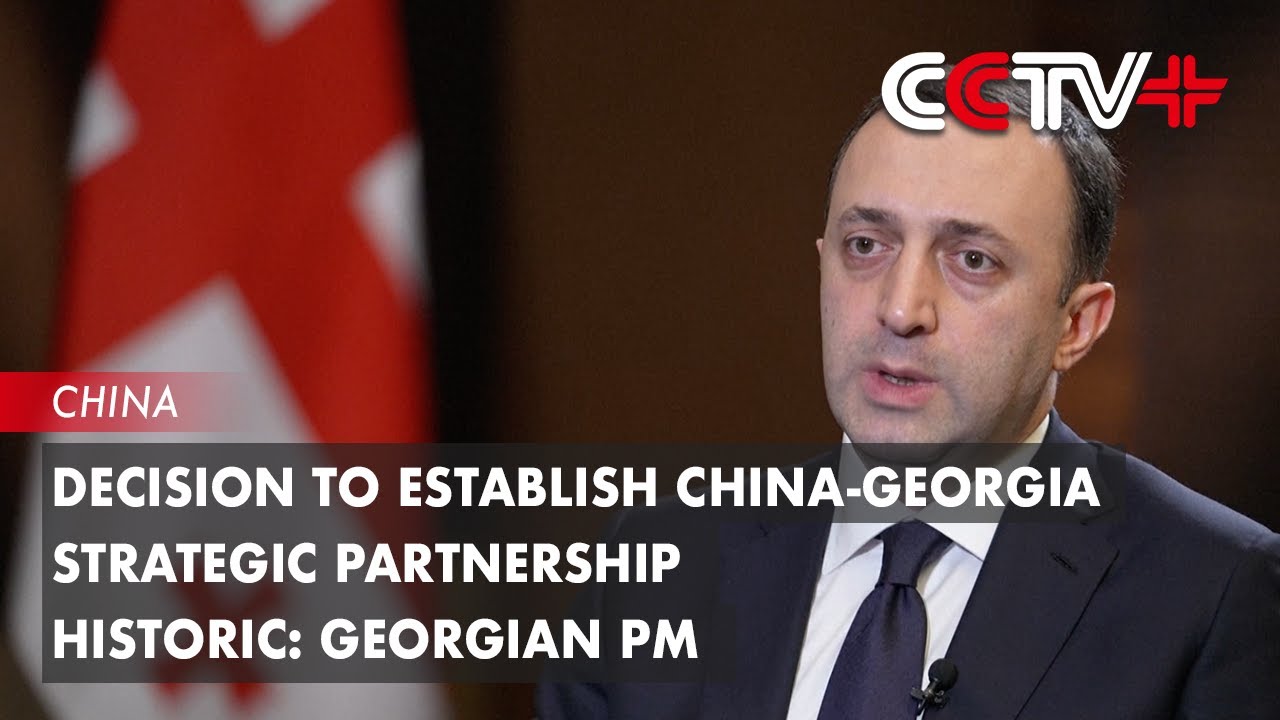 Decision to Establish China-Georgia Strategic Partnership Historic: Georgian PM