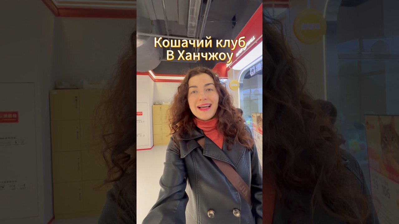 Коты-антистресс по билетам✨что еще придумали Китайцы?😁