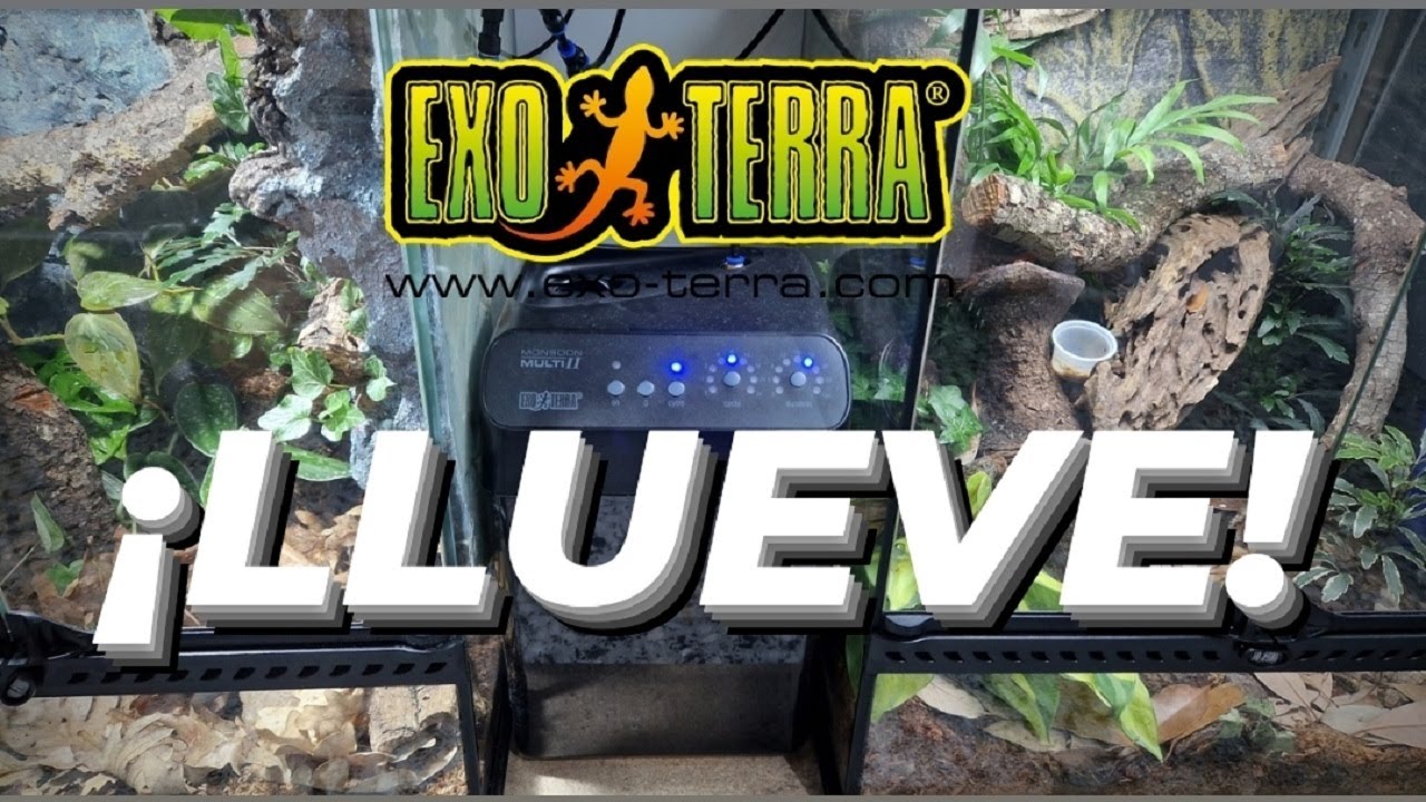 🦎 SISTEMA de LLUVIA💧para TERRARIOS 🦎 Monsoon Multi Exo Terra