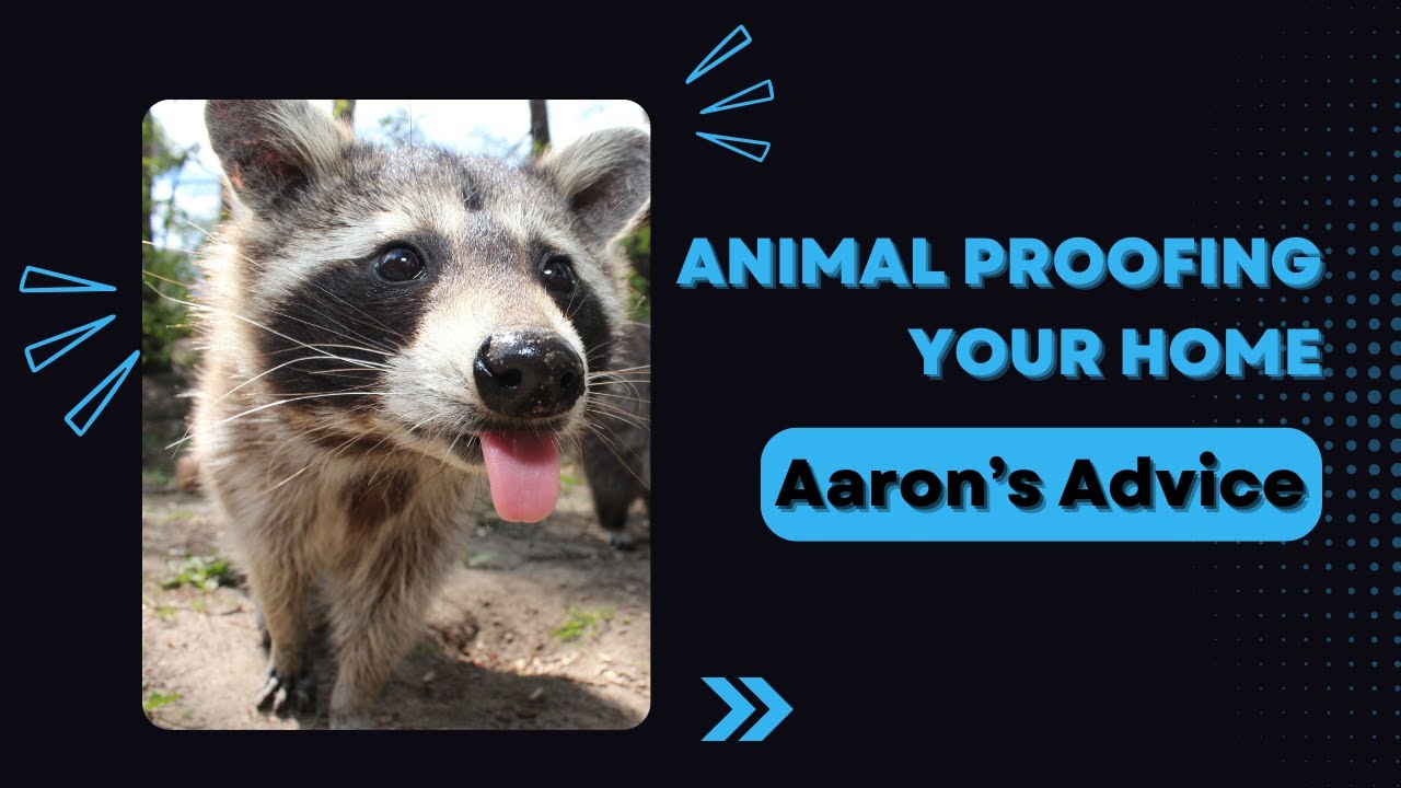 Animal Proofing Your Home