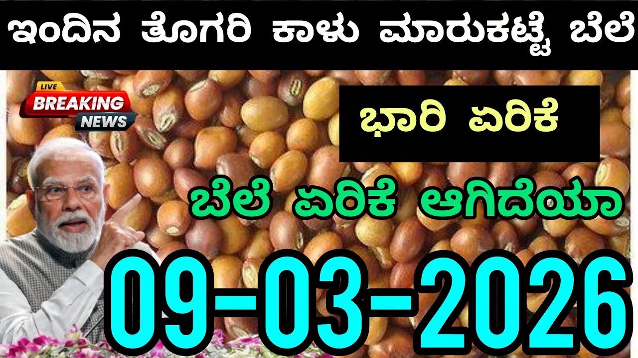 Today Pigeon pea Market Rate | 09-03-2026 | ಇಂದಿನ ತೊಗರಿ ಕಾಳು ಮಾರುಕಟ್ಟೆ ಬೆಲೆ #marketing #todaymarket 