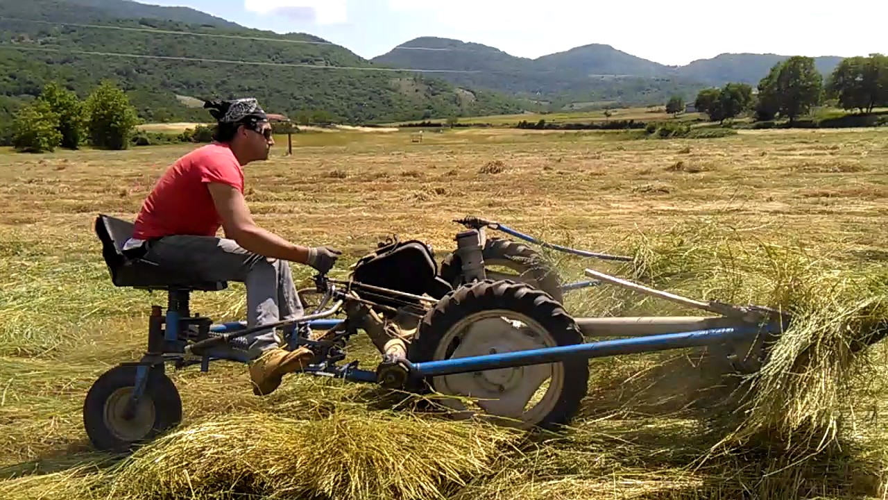 Ciruzzo e la sua  Motofalciatrice BCS 622