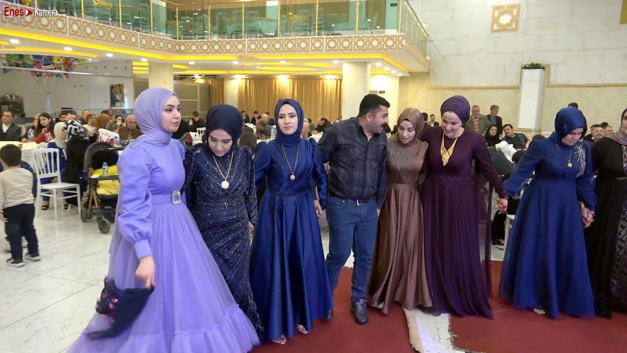 Süper Şevko Halayı 2024 - Yeni Kürtçe Halay - Kurdish Wedding