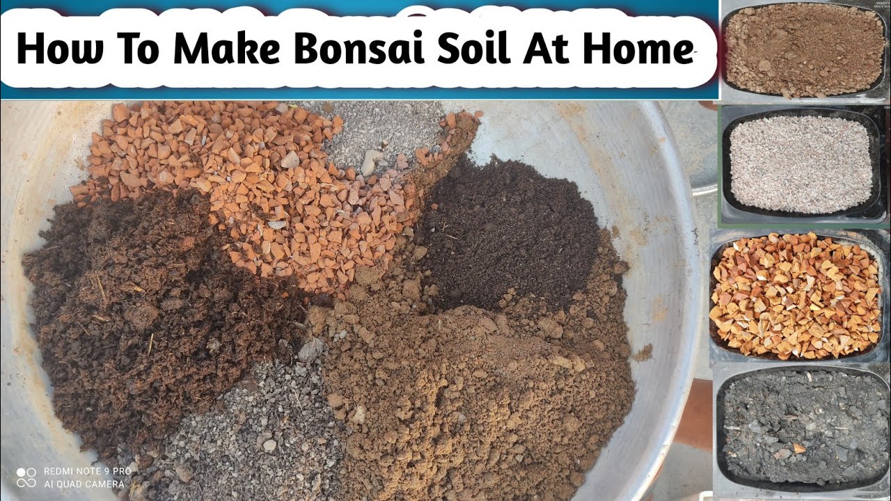 How To Make Bonsai Soil At Home | Bonsai Soil Making 2024 | Bonsai Soil Mix