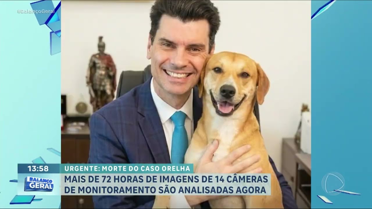 Caso Orelha: maus-tratos a cachorro em Florianópolis (SC) ganham repercussão internacional