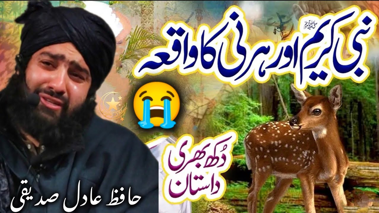 NABI ﷺKAREEM AUR HERAN KA WAQIA😭 ||HAFIZ AADIL SEDQUE SB❤|| @Lightsofislam113