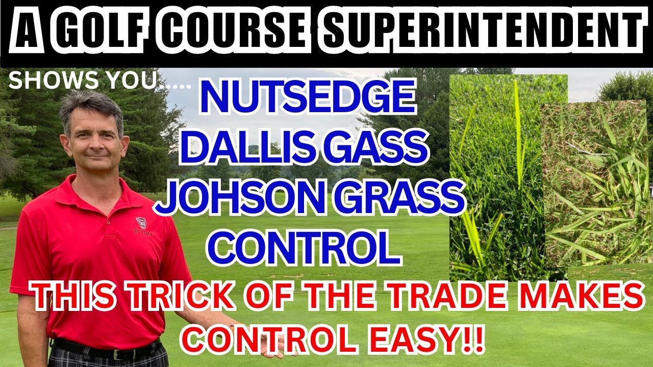 Эффективная и безопасная борьба с сорняками: уничтожаем сорняки, джонсонсграсс, даллисграсс и мно...