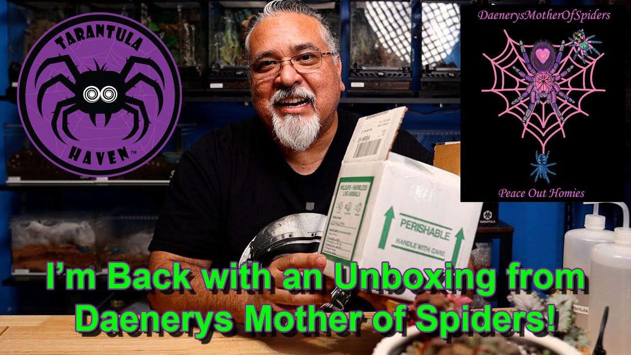 I'm Back with an Unboxing from Daenerys Mother of Spiders!