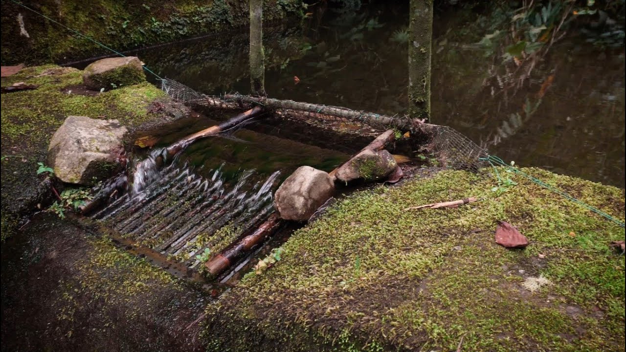 La Problemática del Agua en Isnos