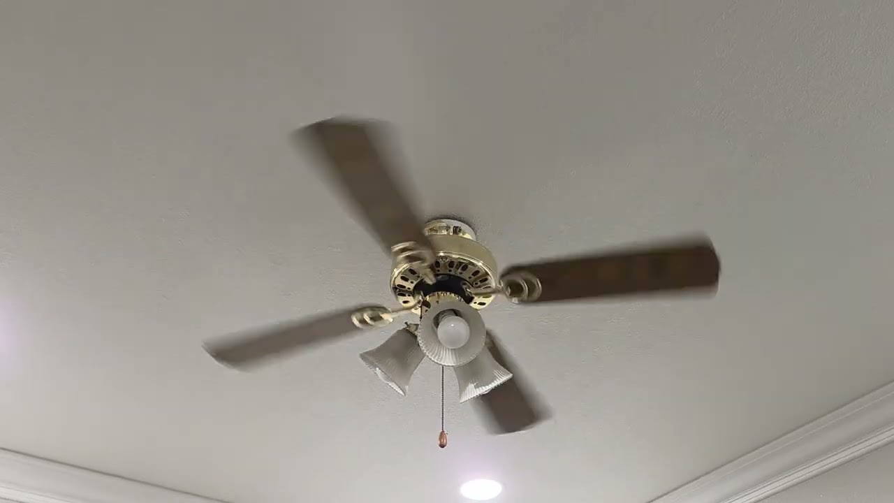 February 27, 2026 Unknown 42 inch ceiling fan in a Brass color Revisit.