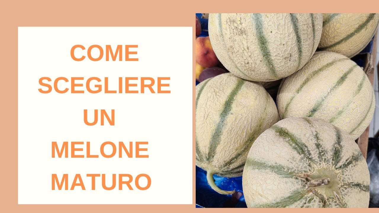 Come scegliere Un melone maturo al punto giusto
